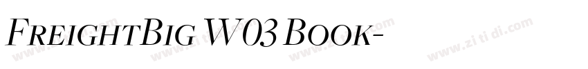 FreightBig W03 Book字体转换